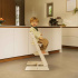 Stokke Tripp Trapp Stol + Bygel + Bricka Vanilla White i gruppen Möbler och inredning / Matstolar och tillbehör / Stokke Tripp Trapp hos Bonti (STOK697200)